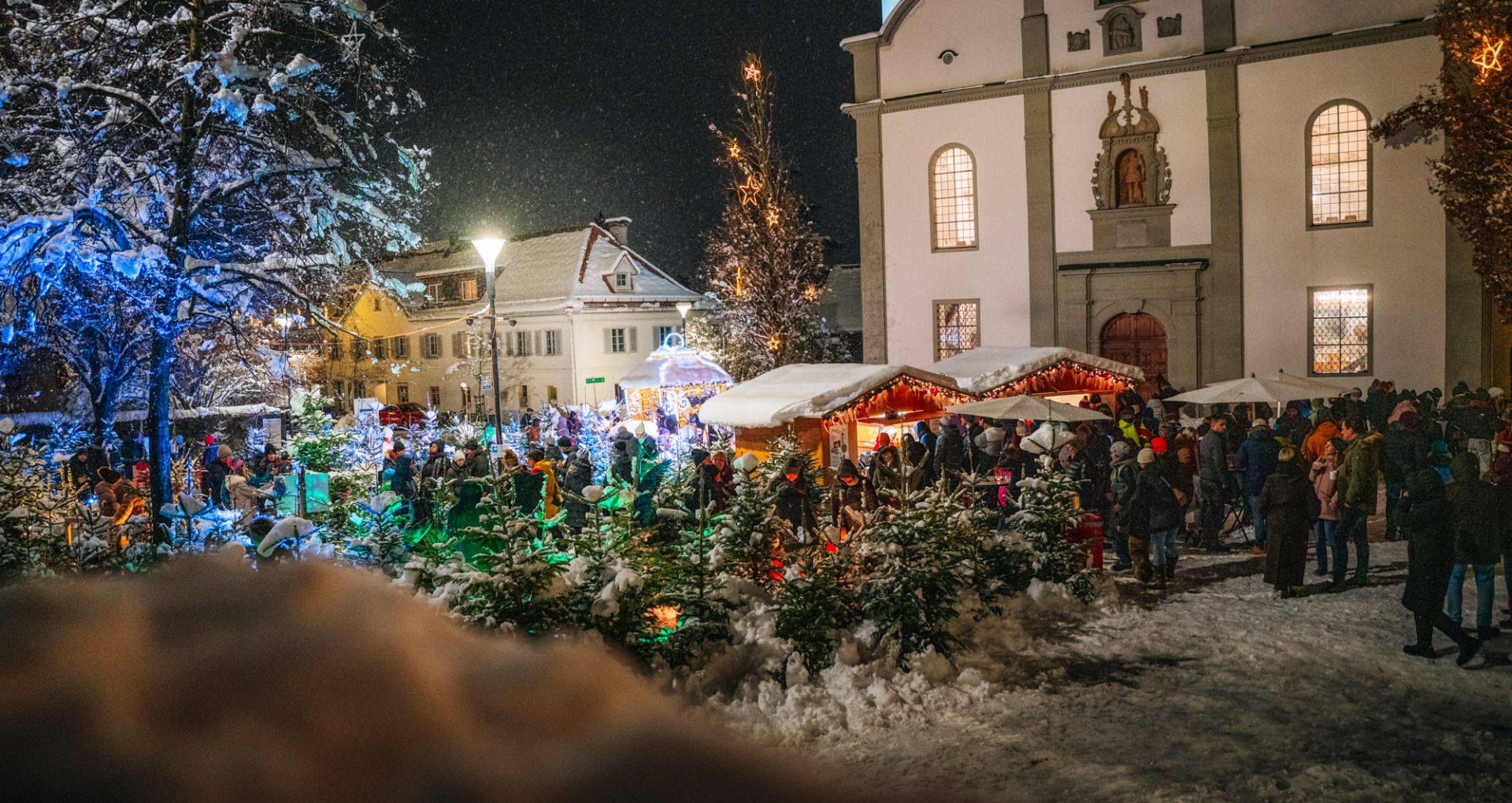 Einschaltfeier & Zauberwald