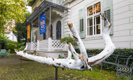 240927Yalla_CRwalser_001-scaled