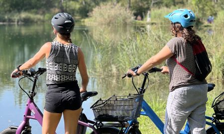 image00017 image00017