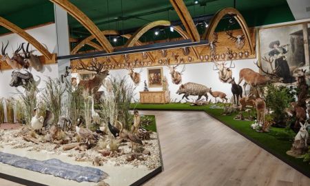 Arche Noah Sammlung Natur