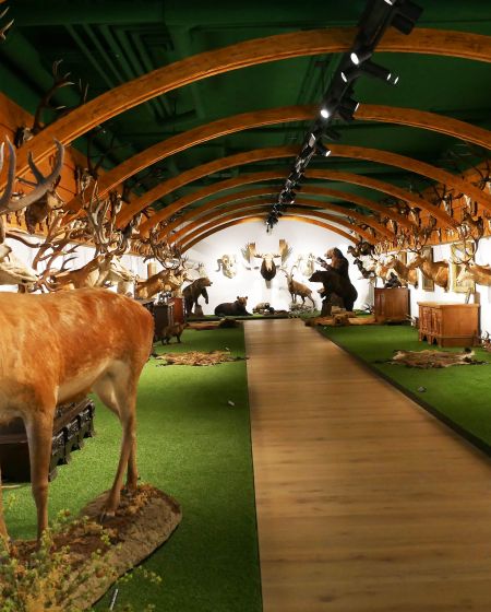 Arche Noah Museum Arche Noah Museum