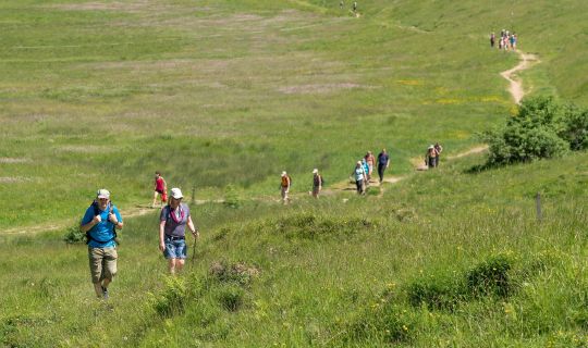 Wandern Hohenems Schuttannen Wandern Hohenems Schuttannen