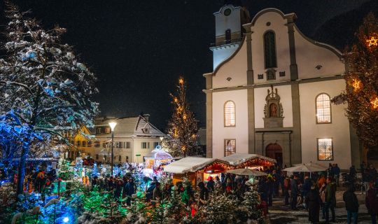 Einschaltfeier & Zauberwald Einschaltfeier & Zauberwald