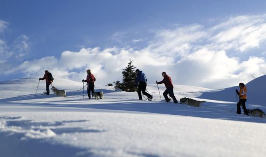 Schneeschuhwandern Schneeschuhwandern