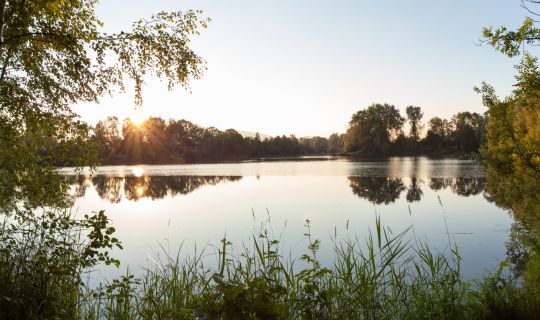 Sonnenuntergang Alter Rhein bei Hohenems Sonnenuntergang Alter Rhein bei Hohenems