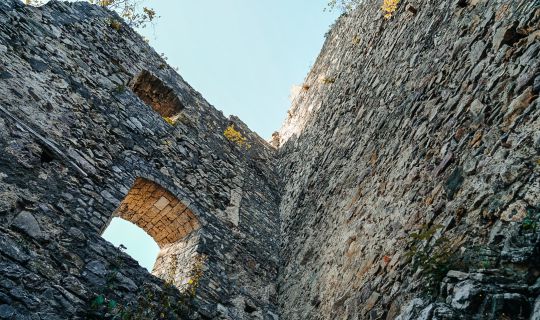 Ruine Alt-Ems Ruine Alt-Ems