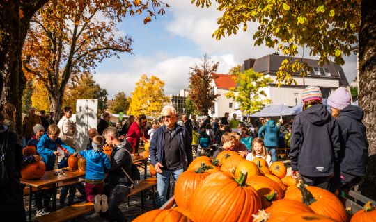 Herbstfest Hohenems Herbstfest Hohenems
