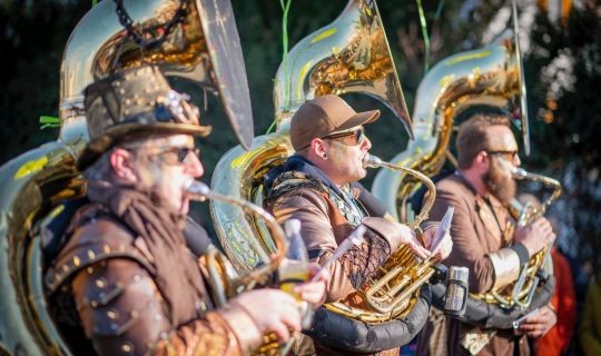 Faschingsumzug Hohenems Faschingsumzug_Landesnarrentag.webp