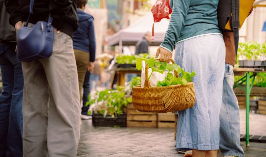 Bio-Jungpflanzenmarkt