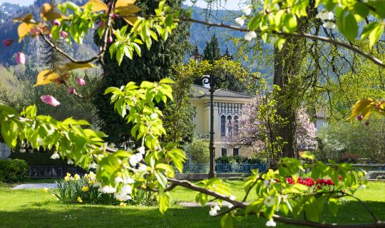 Innenstadt Hohenems Frühling Innenstadt Hohenems Frühling