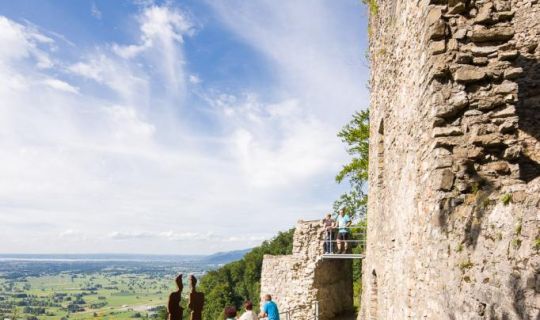 copyright Fotograf Dietmar Walser Blick über Nördliches Rheintal