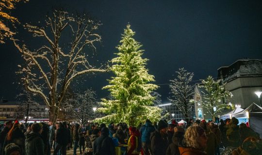 Einschaltfeier & Zauberwald