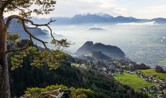 Emsreute Blick auf Hohenems Emsreute Blick auf Hohenems