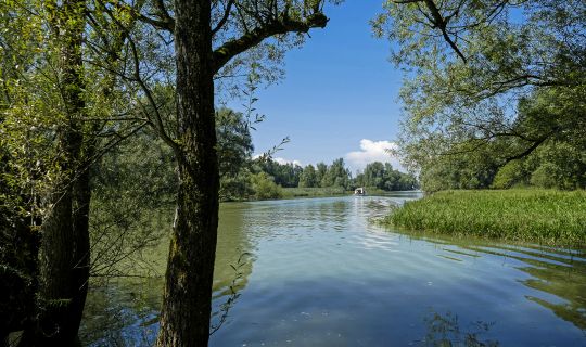 Alter Rhein Alter Rhein
