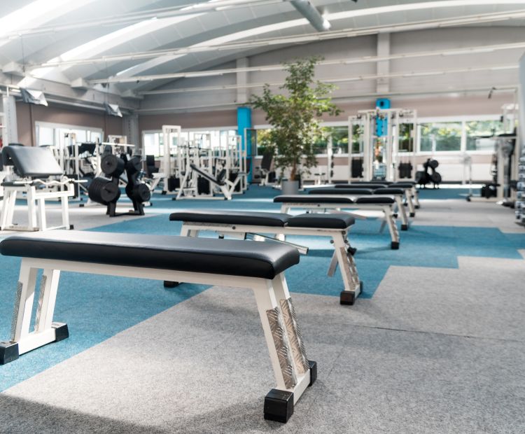 Good Life Sports Good Life Sports