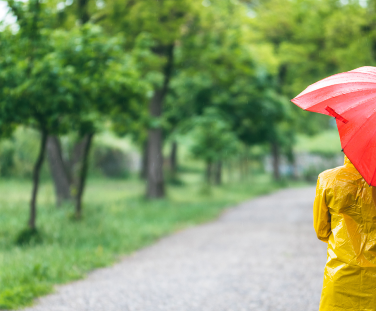 Regenwettertipps_Header