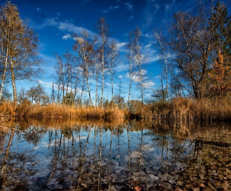 Stiplovsek Dietmar .jpg.jpeg