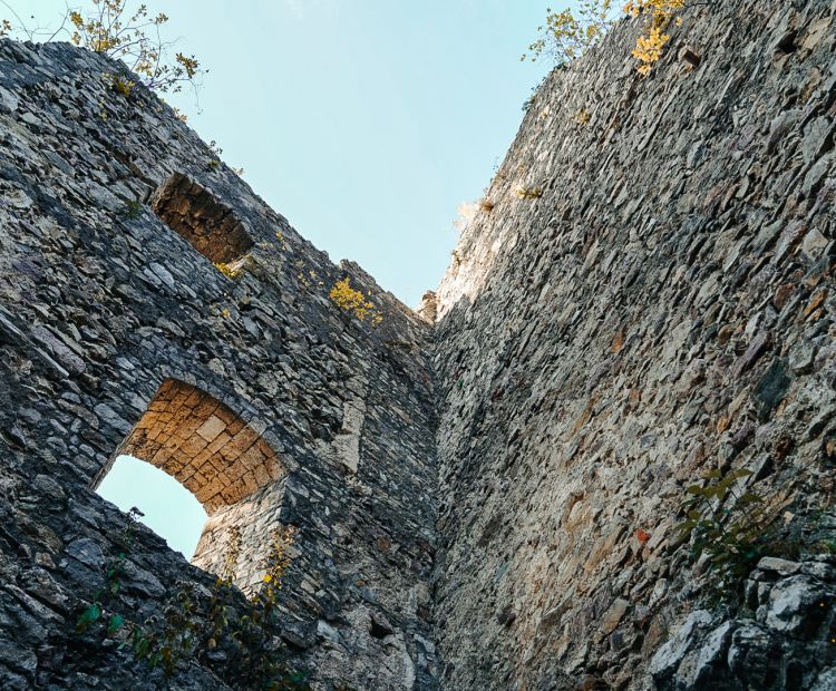 Ruine Alt-Ems Ruine Alt-Ems
