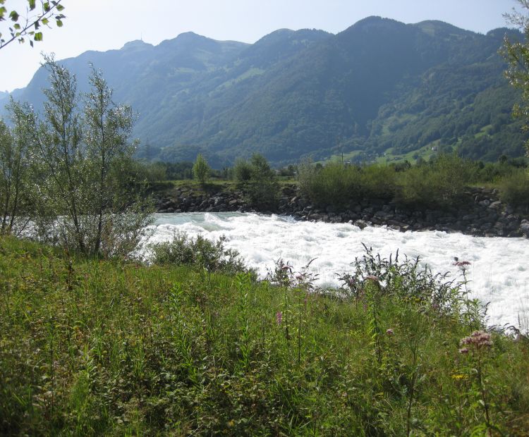 Stadtmarketing & Tourismus Feldkirch GmbH Ill