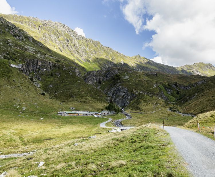 Weg zur Verbellaalpe Weg zur Verbellaalpe