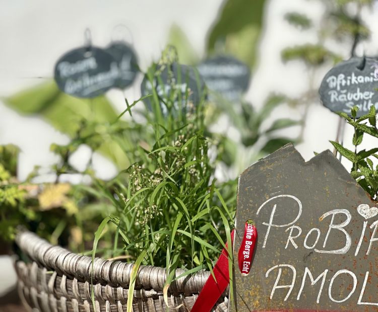 Probiar Amol Weg - Guter Tropfen Probiar Amol Weg - Guter Tropfen