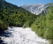 Julia Mangeng - Projekt Loccata Mustergielbach