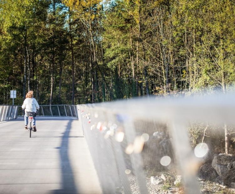 RadbrÃ¼cke Bregenz-Hard