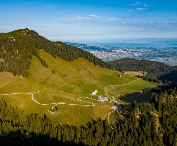 Stiplovsek Dietmar .jpg.jpeg