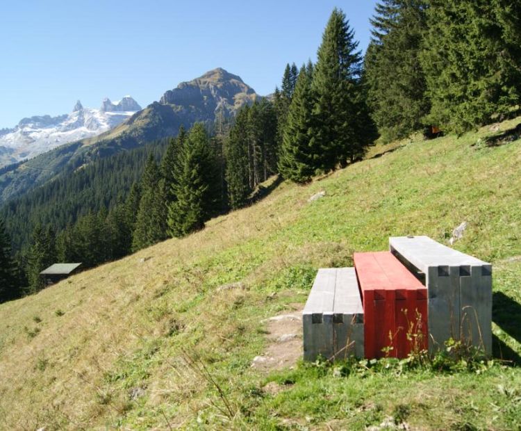 TribÃ¼ne