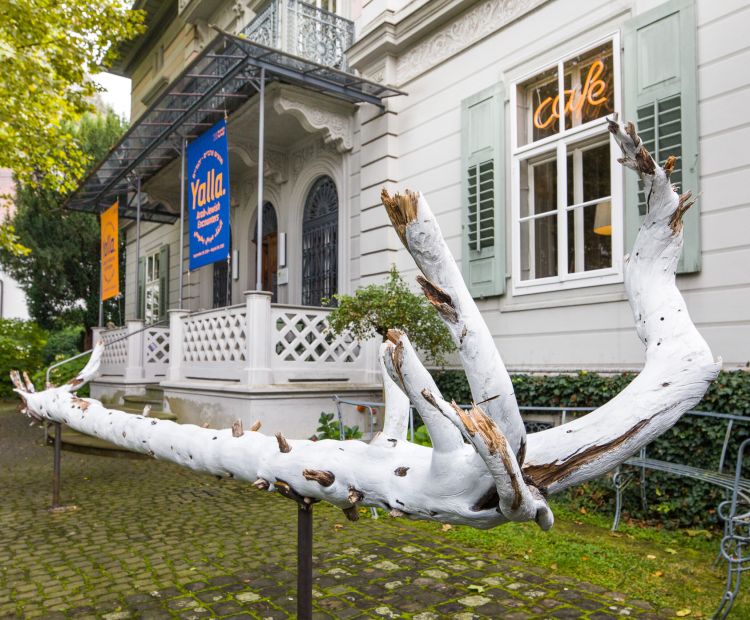 240927Yalla_CRwalser_001-scaled 240927Yalla_CRwalser_001-scaled