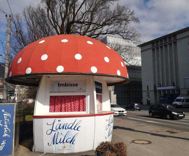 Milchpilz Bregenz