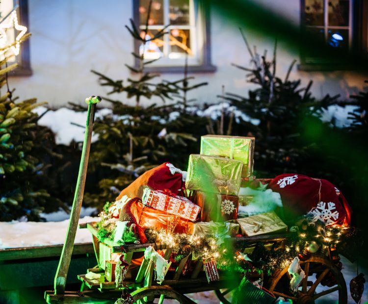 hohenems-winter-1_fs23-123