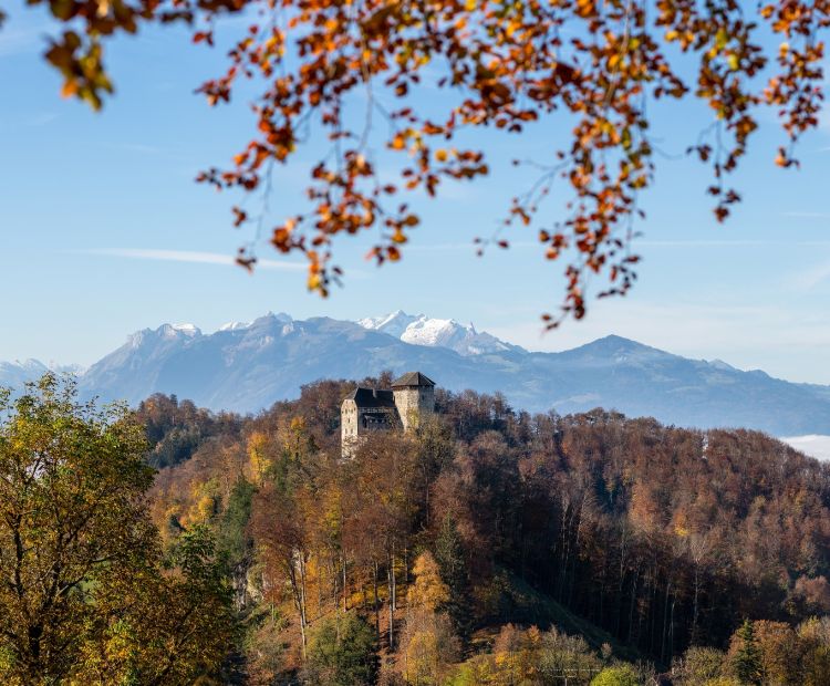 Schloss Glopper Hohenems