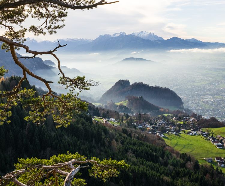 Emsreute Blick auf Hohenems Emsreute Blick auf Hohenems