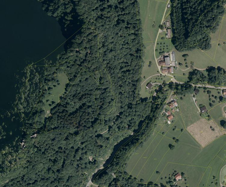 img_19231ee5f5224f55abeadbab207afe3b img_19231ee5f5224f55abeadbab207afe3b