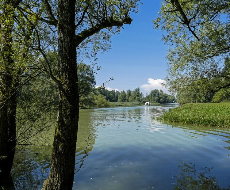 Alter Rhein Alter Rhein