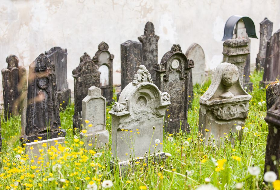 Jued_Friedhof_CRwalser_455_web.jpg Jued_Friedhof_CRwalser_455_web.jpg