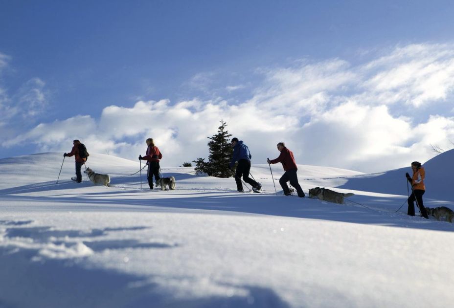 Schneeschuhwandern Schneeschuhwandern