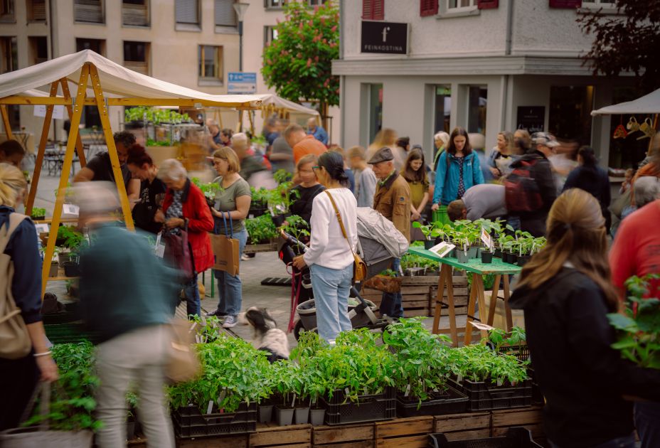 Bio-Jungpflanzenmarkt Bio-Jungpflanzenmarkt