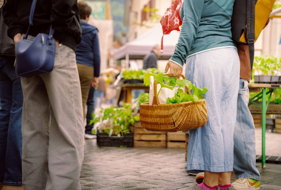 Bio-Jungpflanzenmarkt Bio-Jungpflanzenmarkt