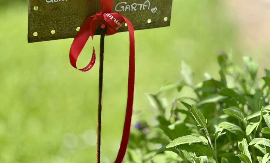 Probiar Amol Weg - Margit Klehenz