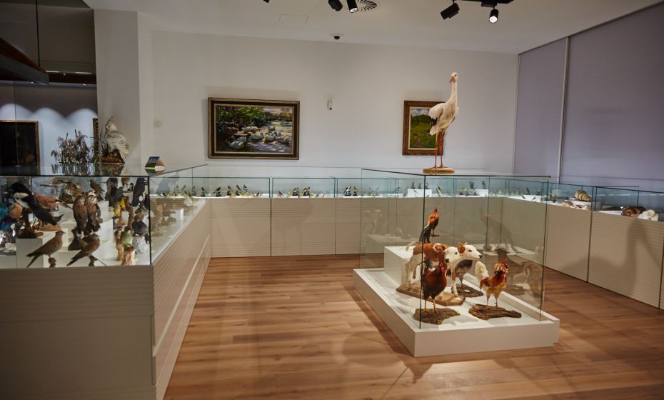 Arche Noah Museum Arche Noah Museum