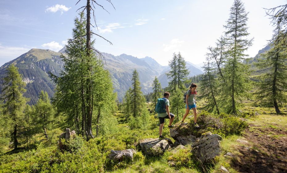Hiking route Alpguesalpe
