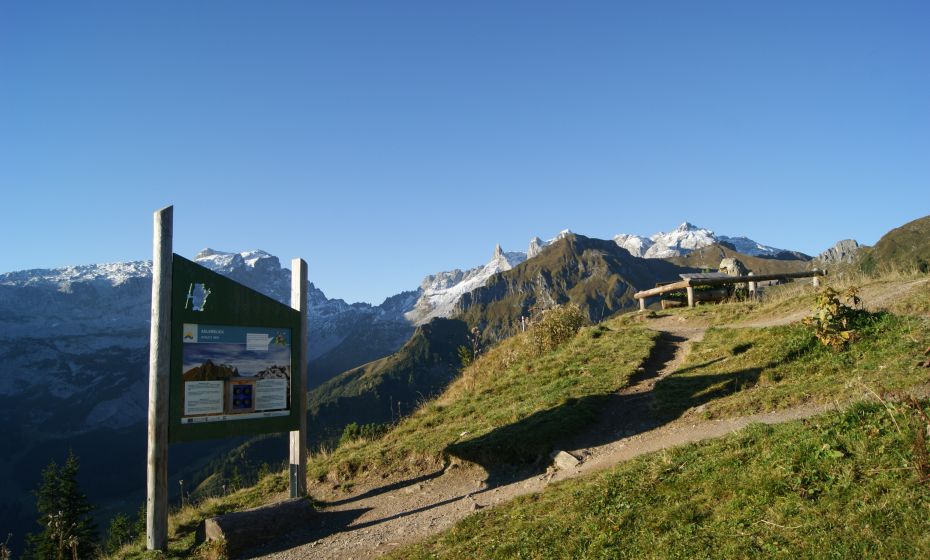 Gedenkstein oberhalb der Bergstation GrÃ¼neck