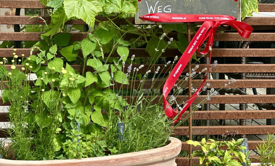 Probiar Amol Weg - Irene Montibeller