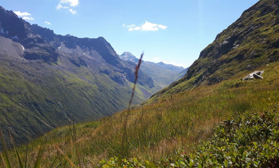 Emil-Roth-Weg Emil-Roth-Weg