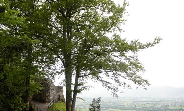 Tourismusbüro Hohenems Ruine Alt-Ems