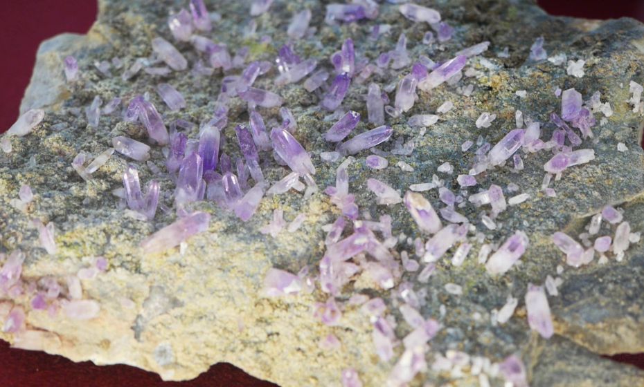 Arche Noah Museum Arche Noah Museum