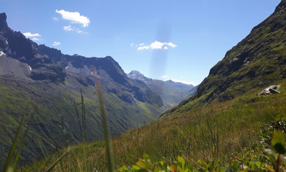 Emil-Roth-Weg Emil-Roth-Weg