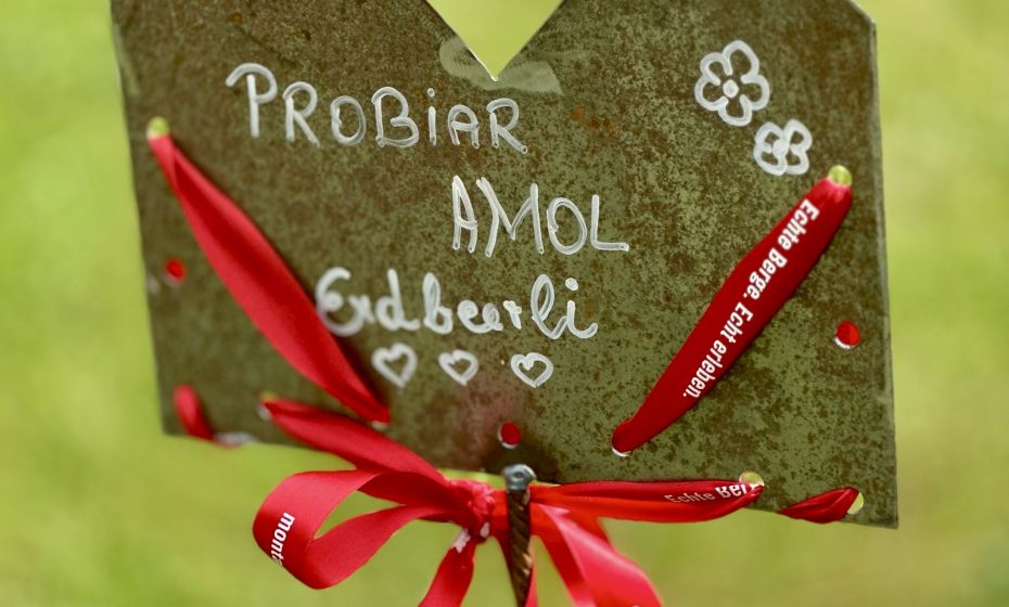 Probiar Amol Weg - Schwimmbad Probiar Amol Weg - Schwimmbad